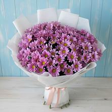 Букет цветов из:  Хризантемы в Кашхатау