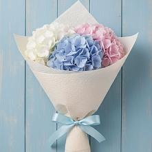 Букет цветов из:  Гортензия #REPLACE_PRED# Кашхатау