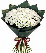 Букет цветов из:  Хризантемы в Кашхатау