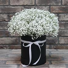 Цветочная композиция из Гипсофила в шляпной коробке в Кашхатау
