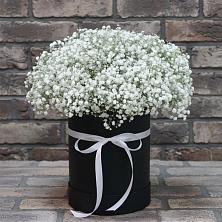Цветочная композиция из Гипсофила в шляпной коробке в Кашхатау