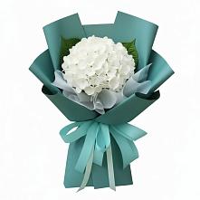 Букет цветов из:  Гортензия в Кашхатау